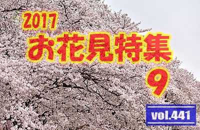 vol.441：2017年 お花見特集 第９弾