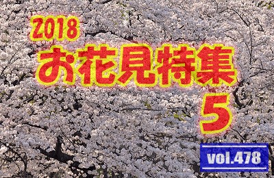 vol.478：2018年 お花見特集 第５弾