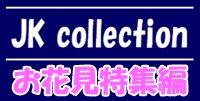 JK collection 【お花見特集編】